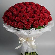 Букет 101 Красная роза Блэк Мэджик в Кижинге
