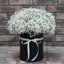 Цветочная композиция из Гипсофила в шляпной коробке в Кижинге